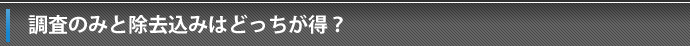 調査のみと除去込みはどっちが得？
