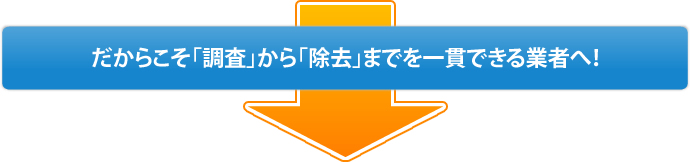 だからこそ「調査」から「除去」までを一貫できる業者へ！