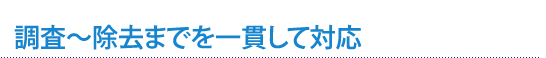 調査～除去までを一貫して対応
