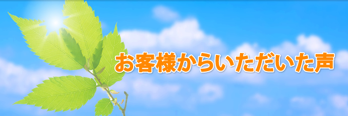 お客様からいただいた声